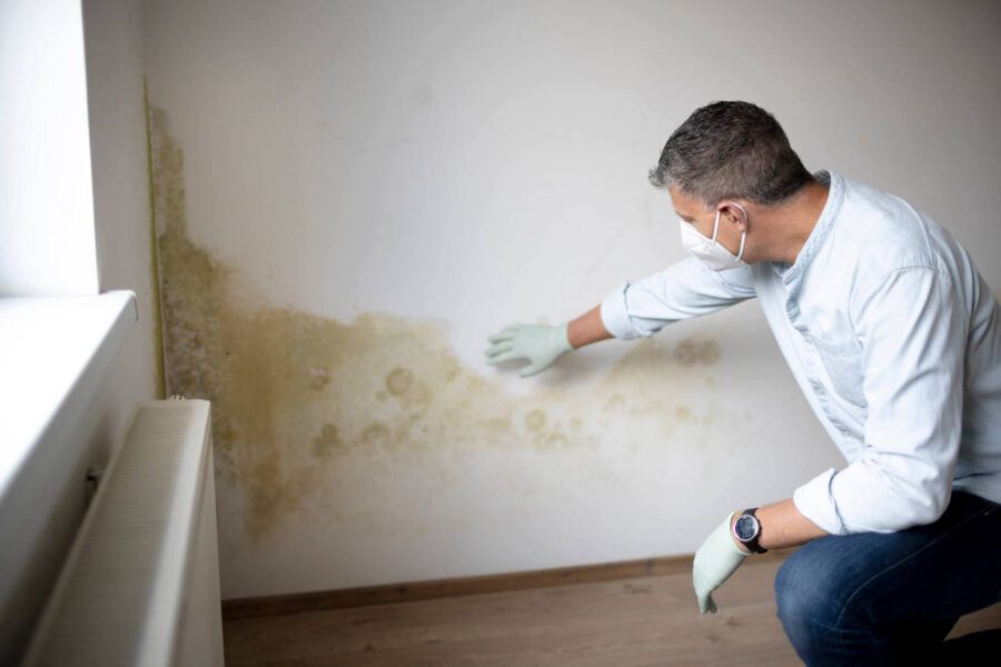 Does Homeowners Insurance Cover Mold
