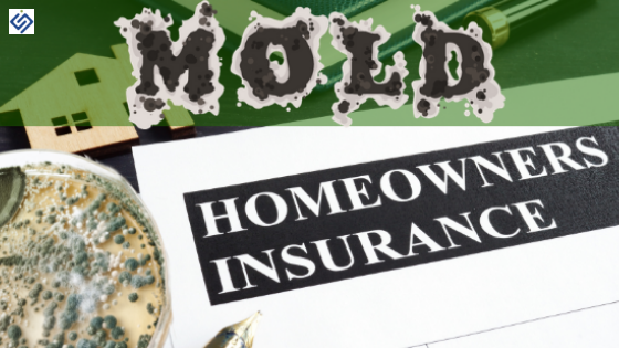 Does Homeowners Insurance Cover Mold