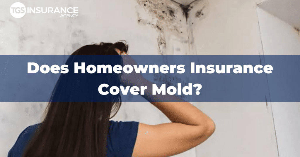 Does Homeowners Insurance Cover Mold